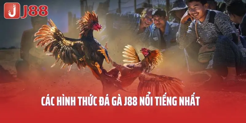 Các hình thức đá gà J88 nổi tiếng nhất