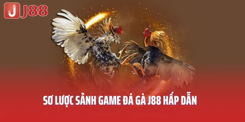 Sơ lược sảnh game đá gà J88 hấp dẫn