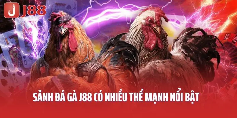 Sảnh đá gà J88 có nhiều thế mạnh nổi bật