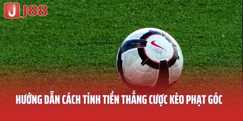 Hướng dẫn cách tính tiền thắng cược kèo phạt góc